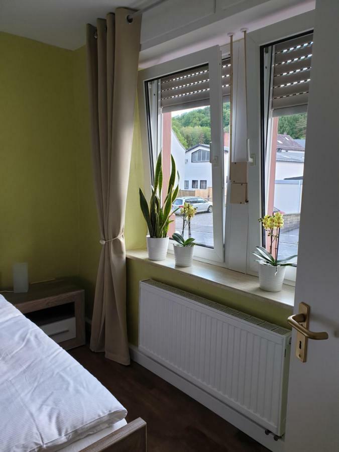 Ferienwohnung Steiner Homburg  Ngoại thất bức ảnh